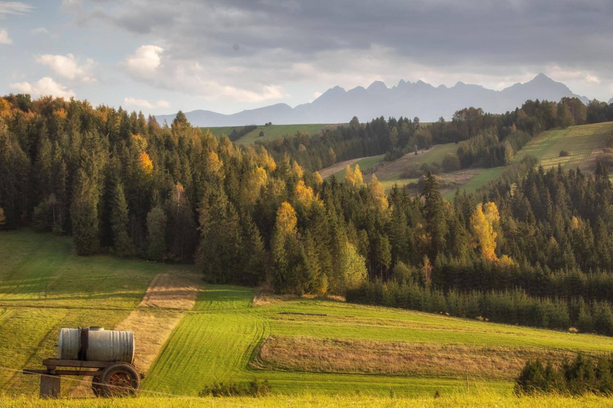 Forest Stodoly Krempachy Dış mekan fotoğraf